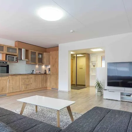 Henno Summer With Sauna And Terrace Apartment